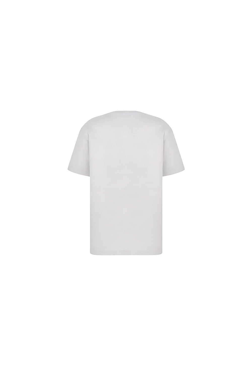 Dior CD Icon T-Shirt Relaxed Fit Grau Herren