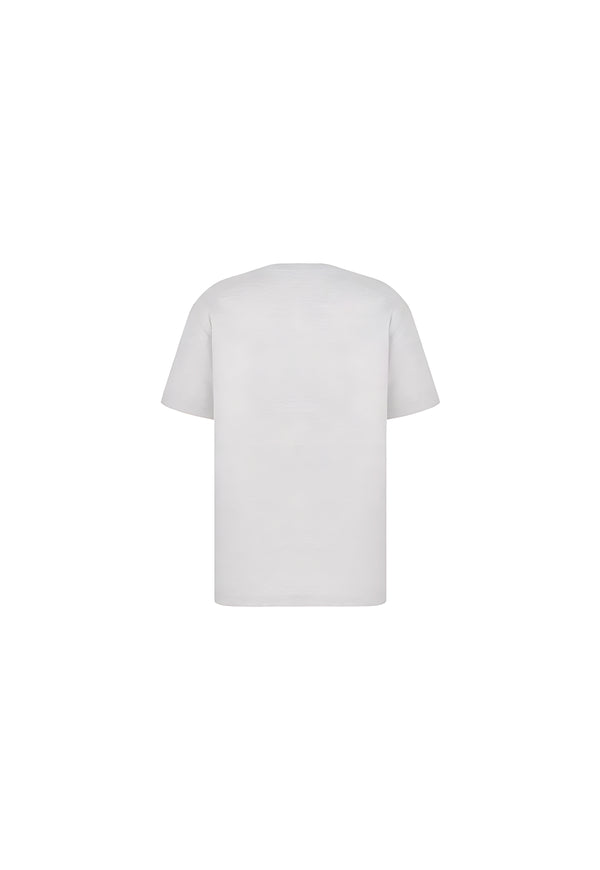 Dior CD Icon T-Shirt Relaxed Fit Grau Herren