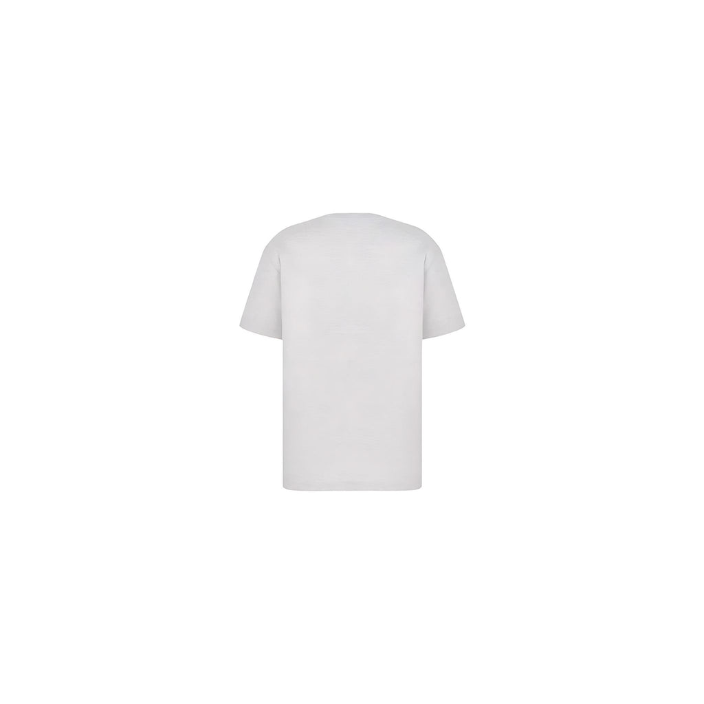 Dior CD Icon T-Shirt Relaxed Fit Grau Herren