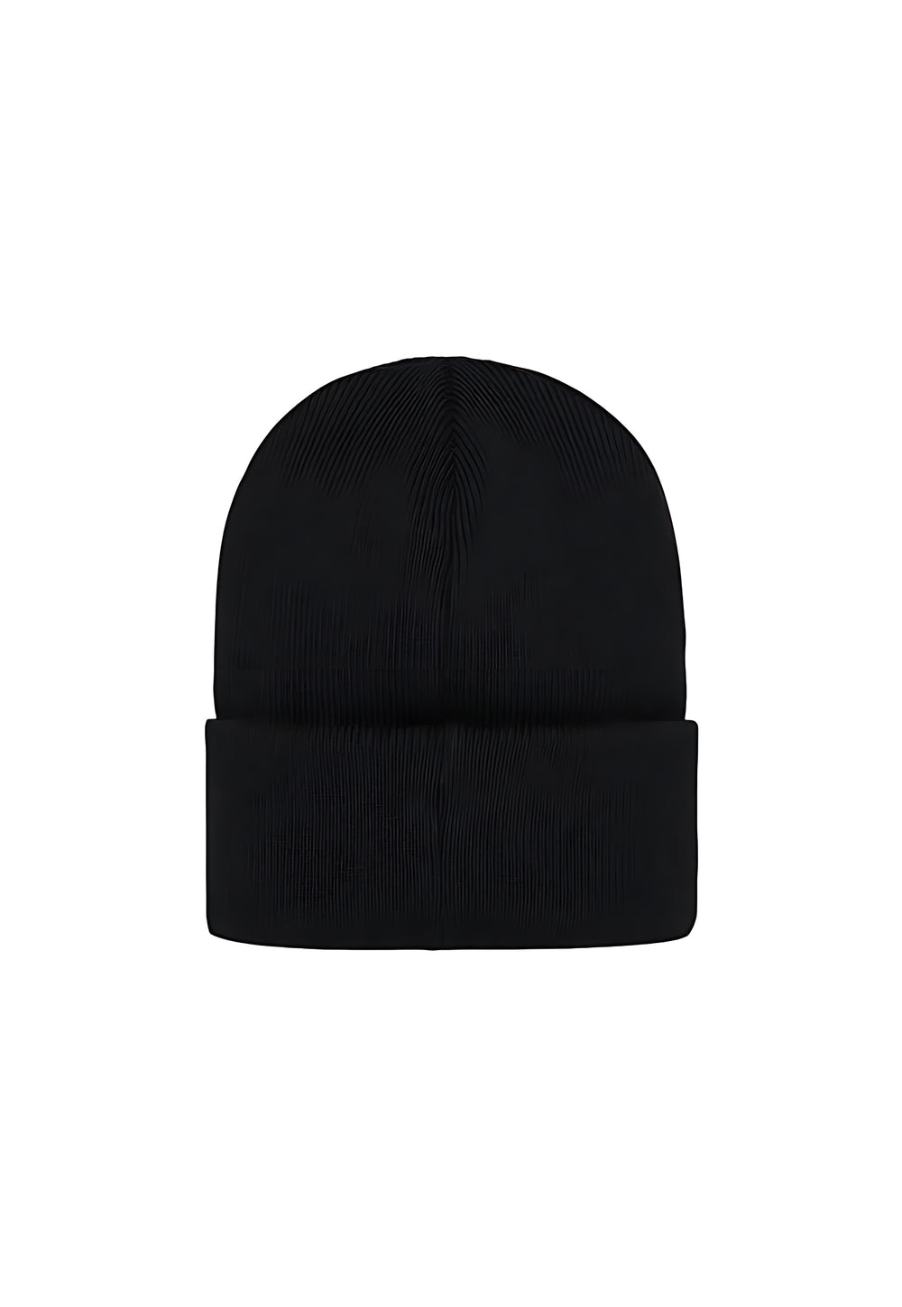 DSQ2 BEANIE